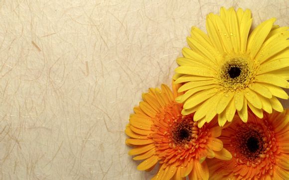 如何使用国际e邮宝