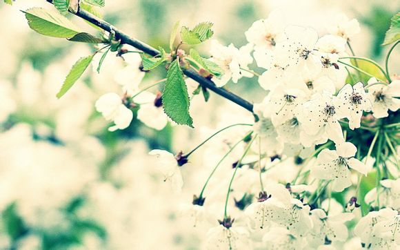 富临商务宾馆在哪里