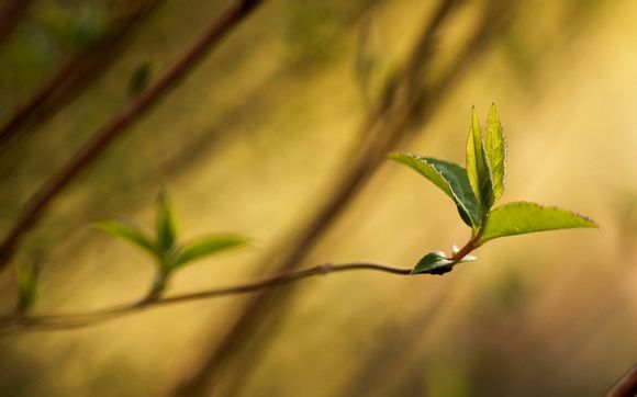 java字符串怎么比较大小写