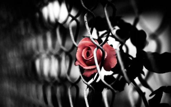 天津东疆港人工沙滩能游泳吗