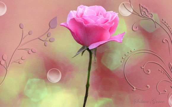 域名怎么不要代理商