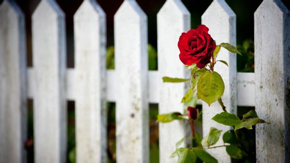 玉龙沙湖旅游攻略