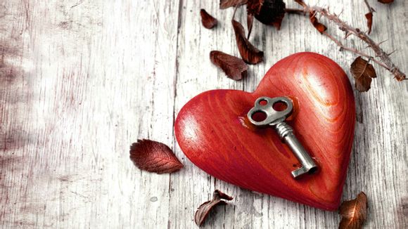 电脑和路由器用什么线