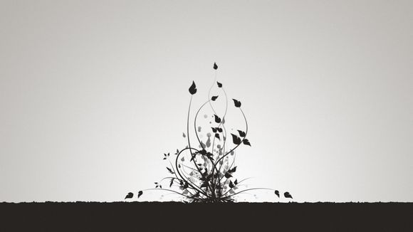 三亚免税店购物攻略金手镯