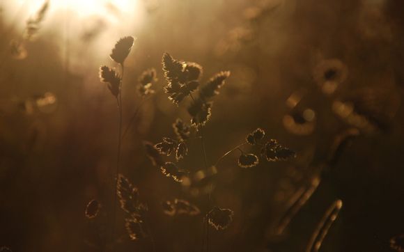 今年淘宝双11销售额