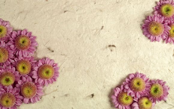 选择是什么意思