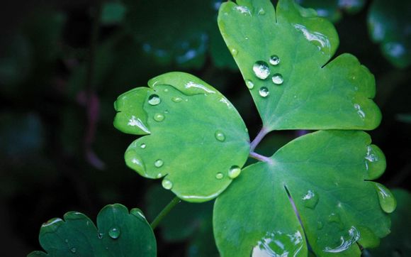 java怎么访问服务器