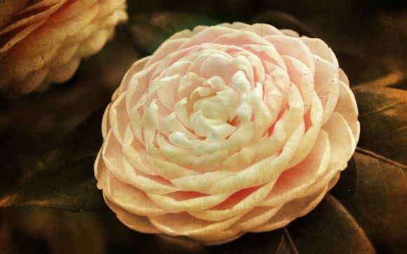 2011年360杀毒软件