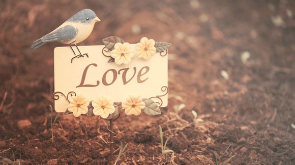 二维码软件电脑版