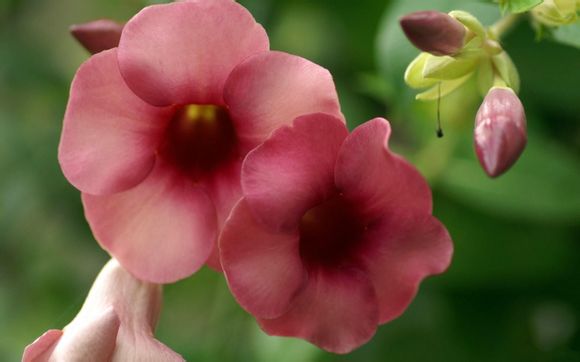 邮政编码查询街道详细地址