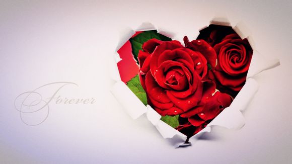 上海水上乐园项目有哪些