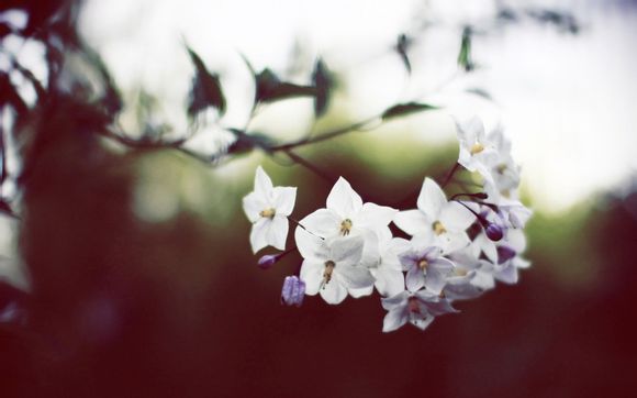 大连长山岛好的民宿推荐排行榜