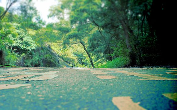 win7主题桌面经典