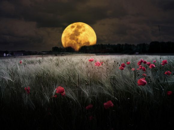 dell 轻薄笔记本