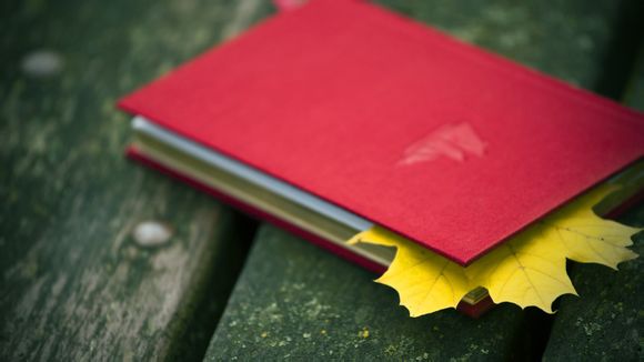 广州流花车站到肇庆