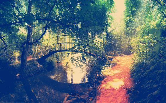 娜可露露什么技能